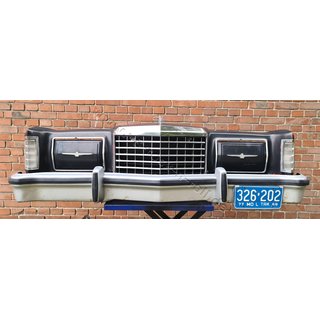 Autofront FORD Thunderbird 1977 Wallhanger